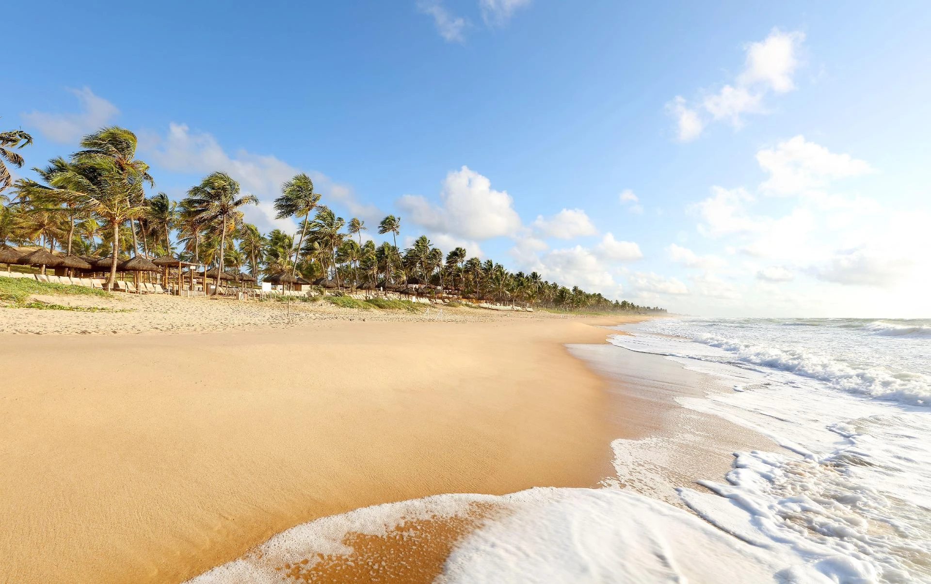 Praia de areia clara, coqueiros e mar em Imbassaí, Bahia, onde acontece a formação